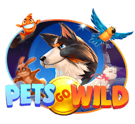 pets-go-wild